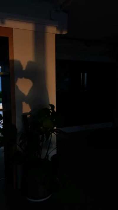 Shadows are sexier
