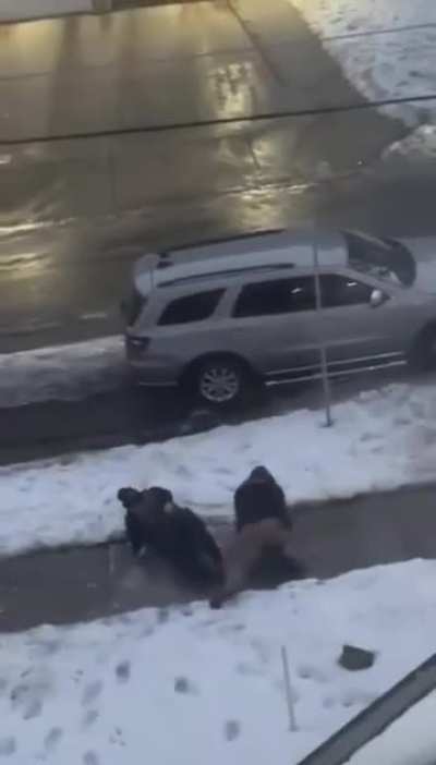 ICE just got wiped out by ICE in Minnesota