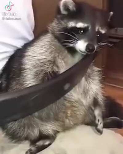 :c