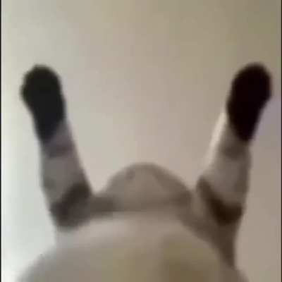 Aaaaa 😫😫😫😫
