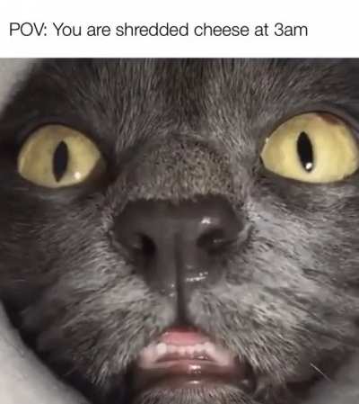 Lookin very cute while eating all the snacks!