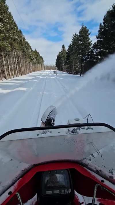 Gracing you with the video of the blower as requested