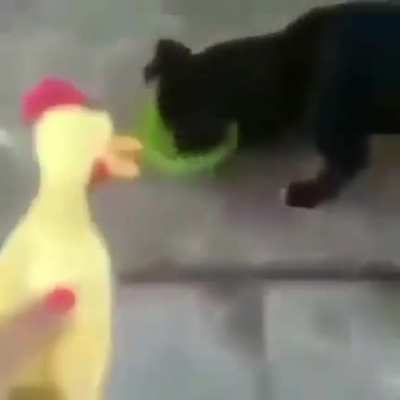 =/