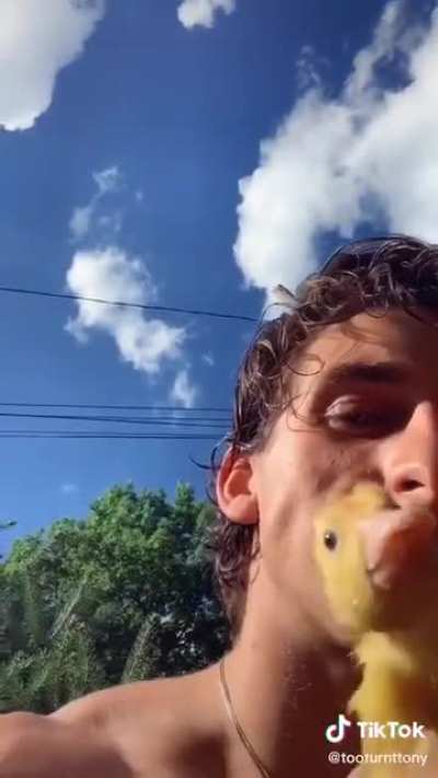 This is some god-tier content. Perfect in every way. Let the man have his pet ducks