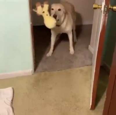 Some wholesomeness for your feed :)