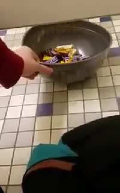How heartwarming