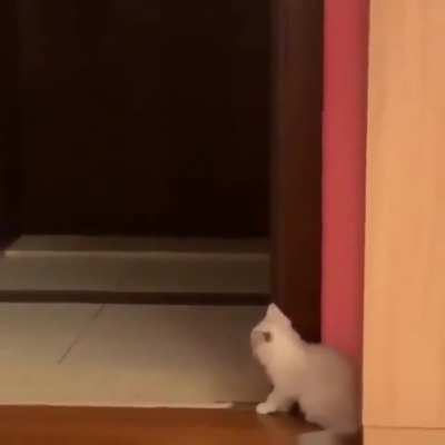 to attack