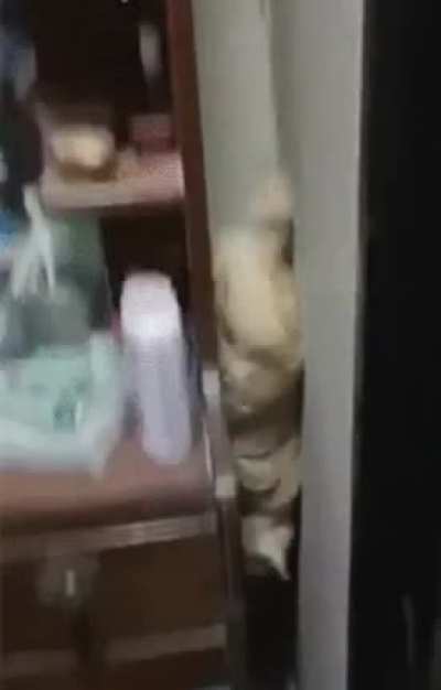 Frank was scared of jumping from high places so...