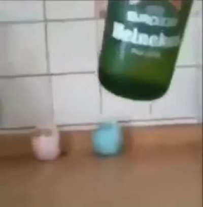 Polish beer selection 