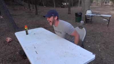 Demo ranch going insane
