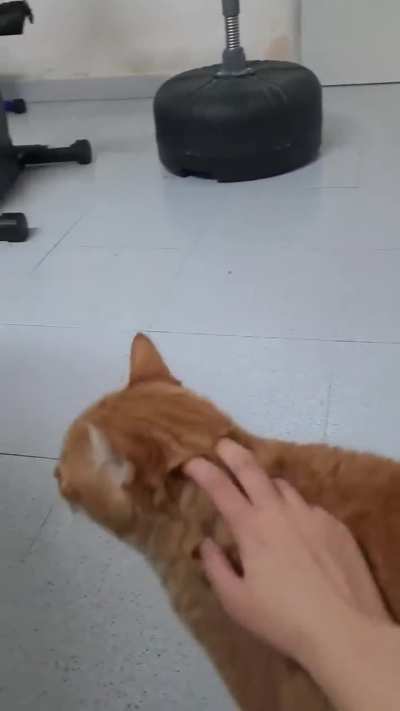Loving Tigger