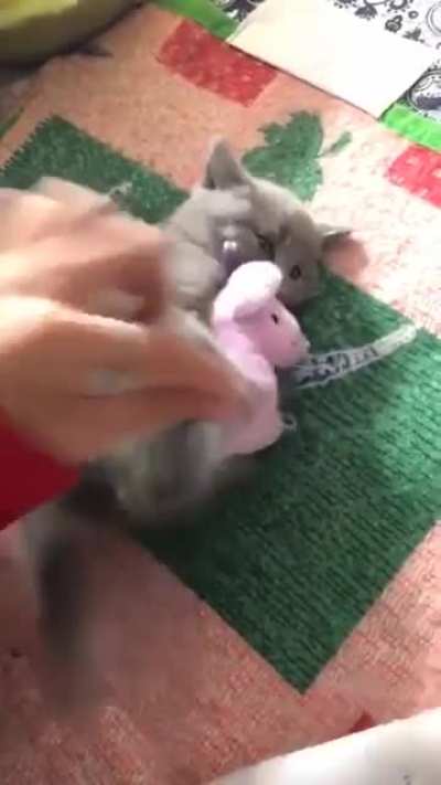 Don&rsquo;t touch