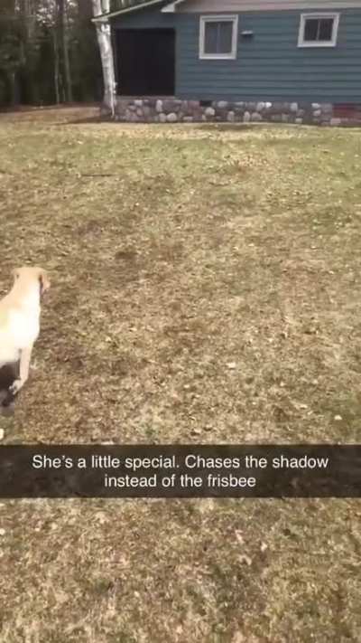 She&rsquo;s trying her best