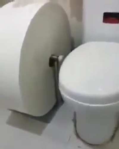 moldy toilet paper