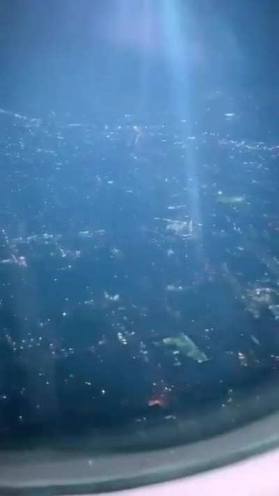 ✈️