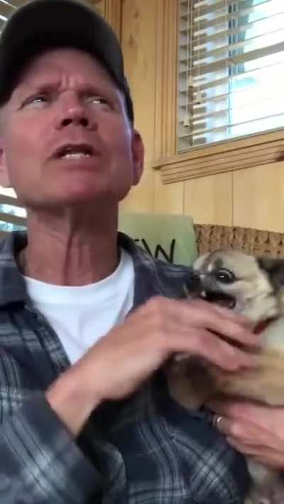 Petting your dog can be relaxing