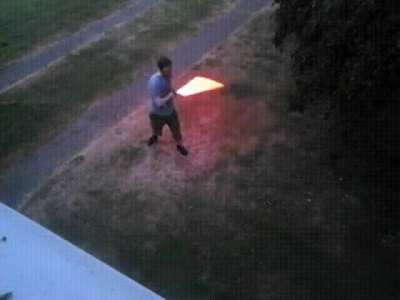 Real sith in our garden