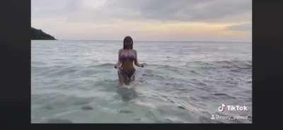 Wet