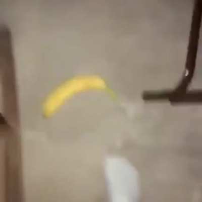 A dollar for a banana