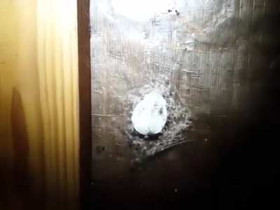 I don&rsquo;t think spiders are that scary but this vid dude.