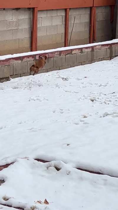 What is she looking for?