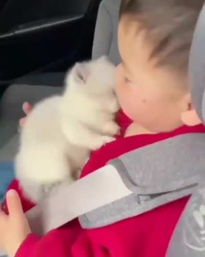 Tenderness