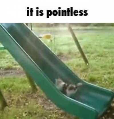 it is pointless you little smelly cat