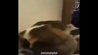 STAHP!