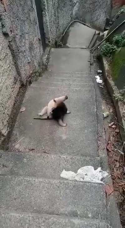 You can't pass Human