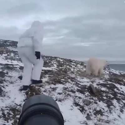 Fearless cameraman