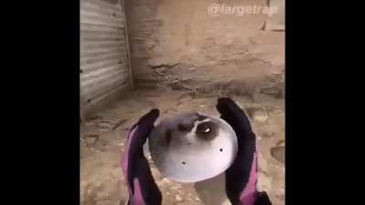 XD