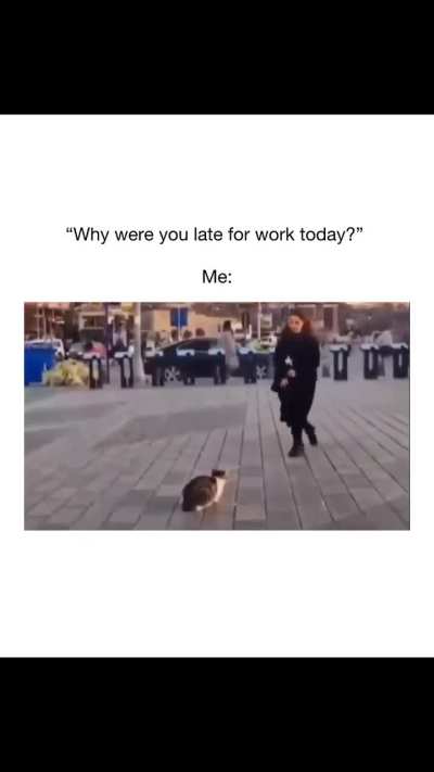 My excuses are always lame but they are real tho 😭✌️