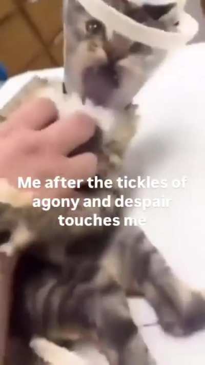 Tickles of Apostasy
