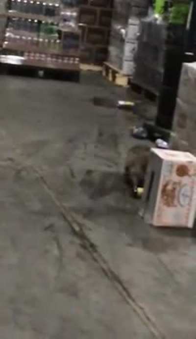 Ограбление виноводочного склада