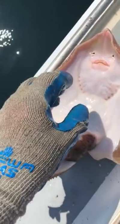 i don't know if it bites but don't