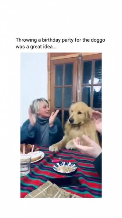 Paw-ty time!