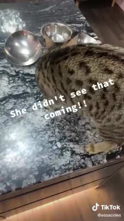 Oh no
