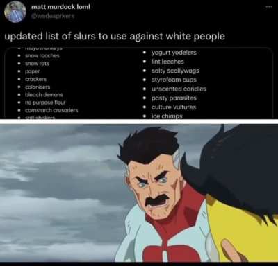 🇳🇪