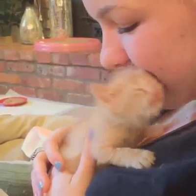 "I love you, human."