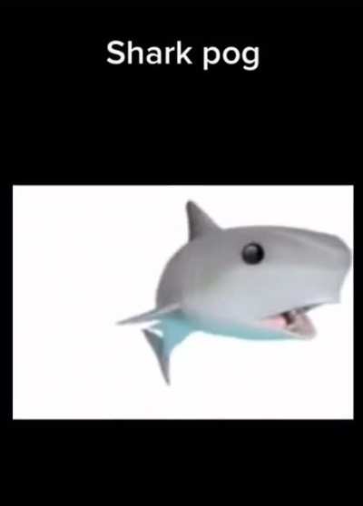 Shark pog