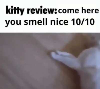 Kitty rule