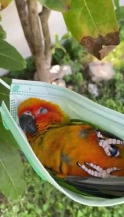 awwwwwwwwwwww