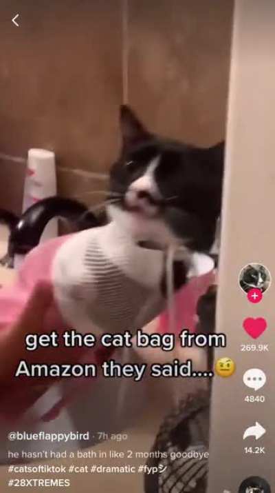 This Kitty Doesn&rsquo;t like to be Bathed
