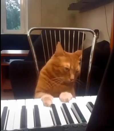 Future Star in making