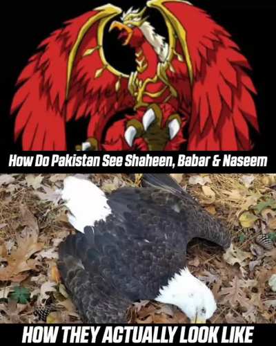 Title kuch zyada hi sar par chadh gya h