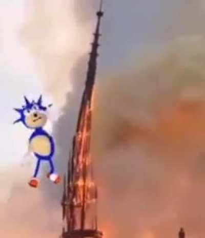 sonic mane why you gotta do that😔
