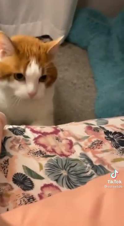 She's a maniac