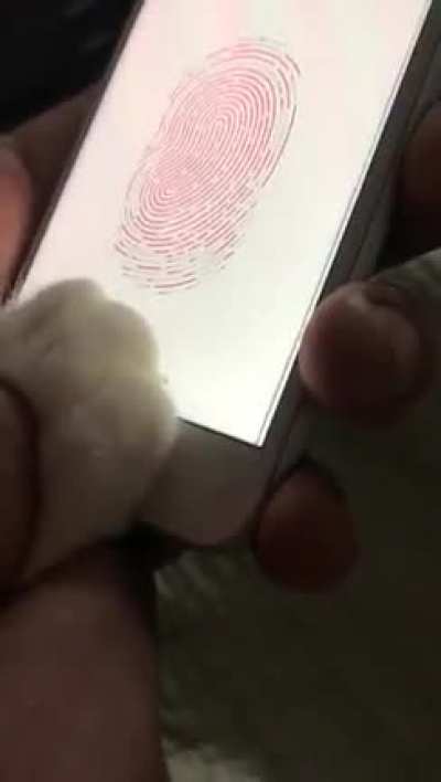 [OC] My cat can now unlock my iphone with his fingerprint 😲
