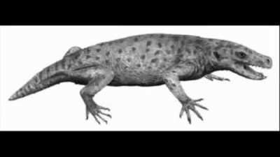 Creiste que era una meme pero en realidad son 3:25 minutos de nuestra evolución