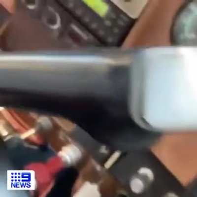 Large spider falls on Australian pilot while he&rsquo;s landing the plane